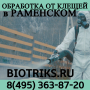 Проффесиональная обработка от клещей в Домодедово